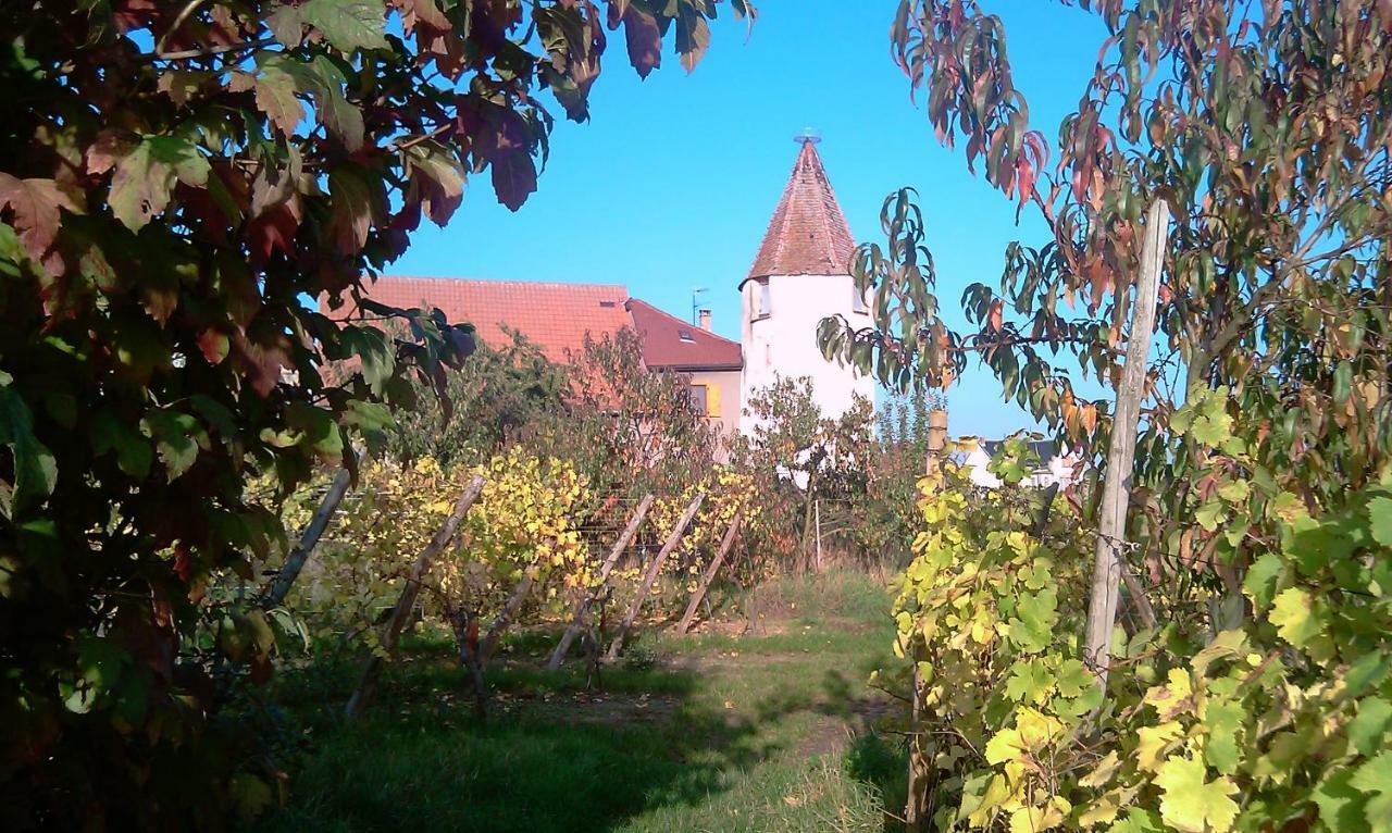 Les Gites De La Tour, Appartement "La Plaine" Saint-Hippolyte  Exteriér fotografie