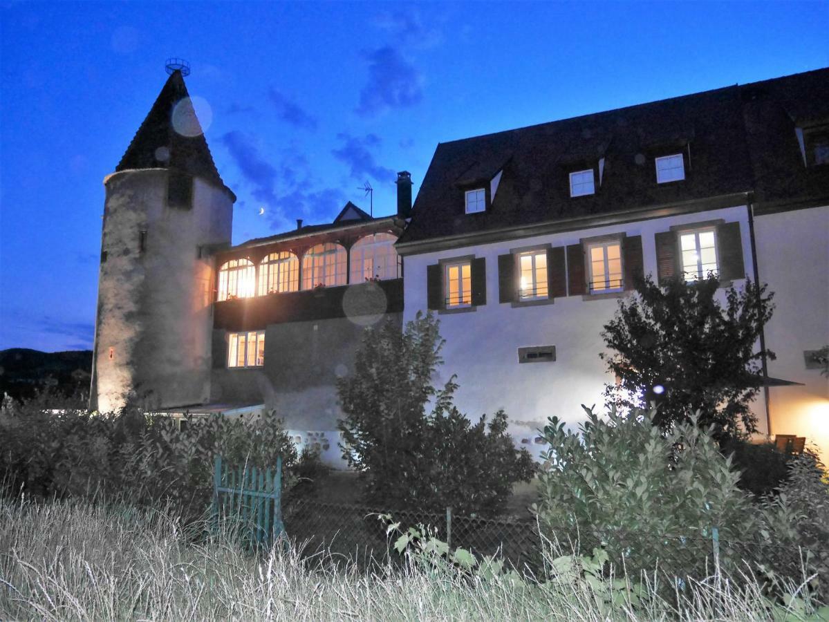 Les Gites De La Tour, Appartement "La Plaine" Saint-Hippolyte  Exteriér fotografie